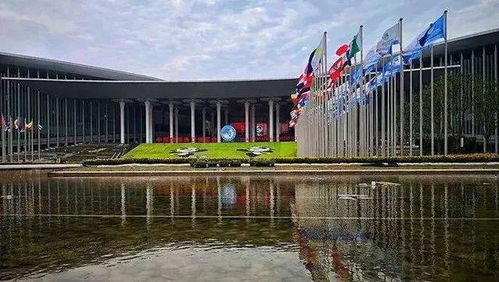 與世界共享農業(yè)未來 世界農產品點亮中國進博會